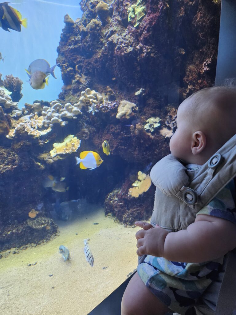 a baby enjoying the fish at Waikīkī Aquarium