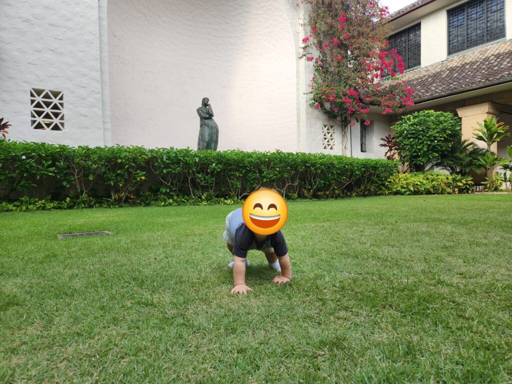 a baby crawls in the grass outside the Honolulu Museum of Art